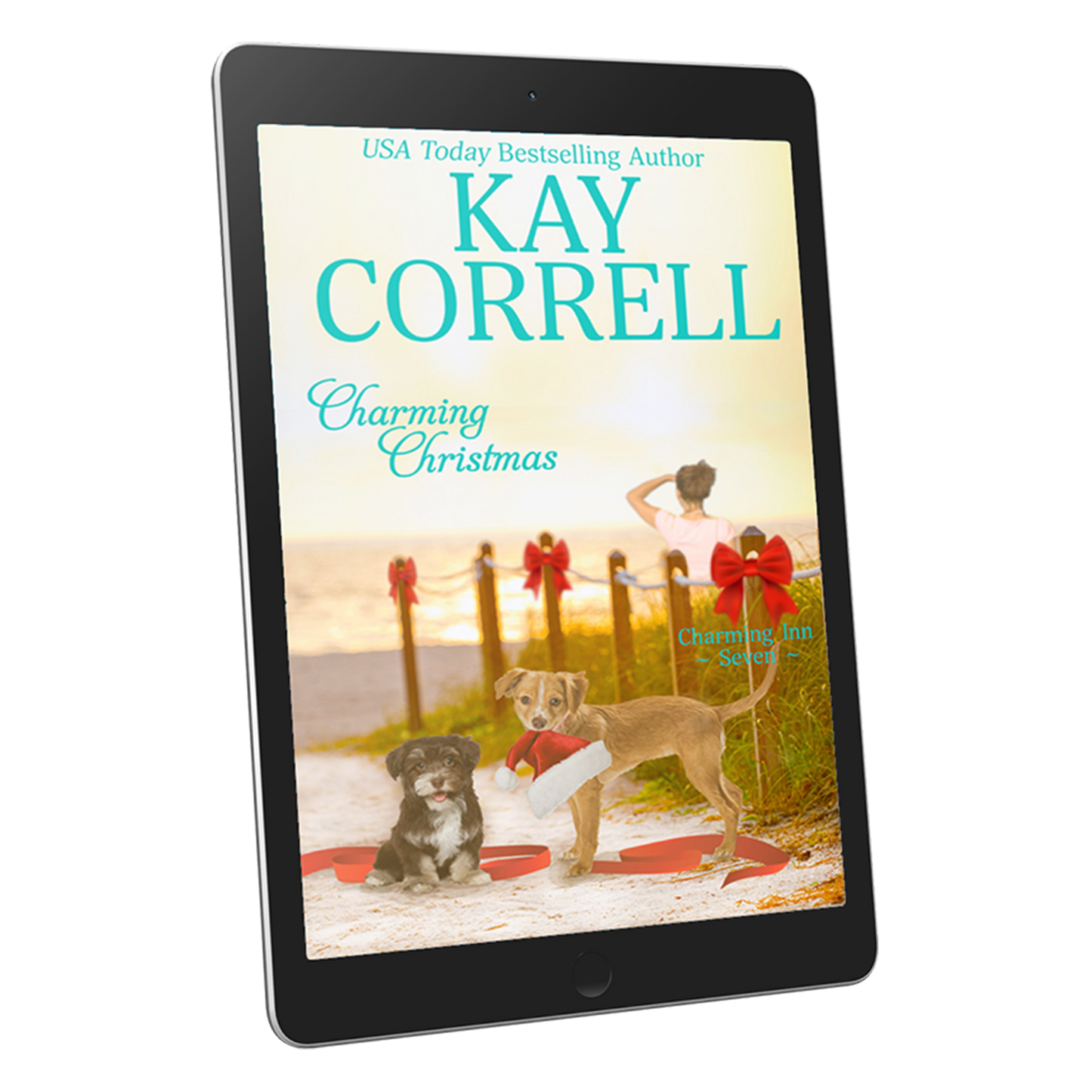 Charming Christmas (EBOOK)